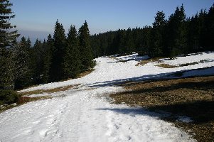 Es ging gerade noch ohne Abschnallen, der Boden ist ohne Steine, etwas Erde und viel Grass.