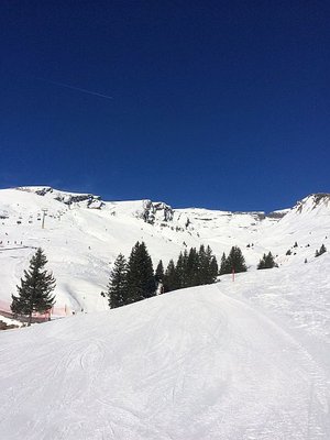 Blick auf die Trasse