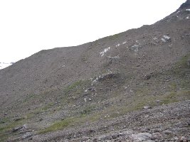 Hier stehe ich im Talboden und schaue hinauf zur 1850er Moräne, ca. 120 Hm hoch. Dies alles war um 1850 mit ca. 120 Meter Eis gefüllt.