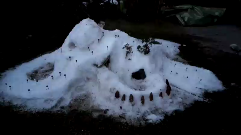 Seitenansicht, mit der schwarzen Piste ("Brüggliabfahrt") und dem Speichersee