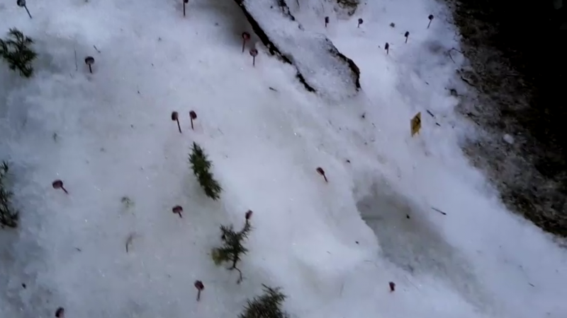 Schanze an der "Schanzenabfahrt"