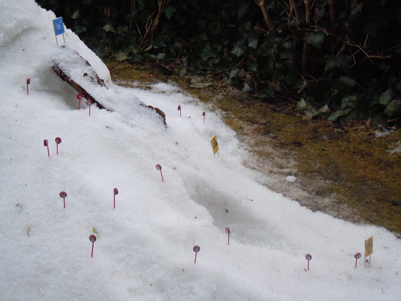 Die "Schanzenabfahrt" mit Trasse eines Schleppliftes