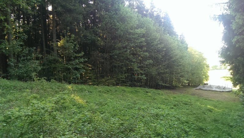 Piste mit Liftspur.jpg