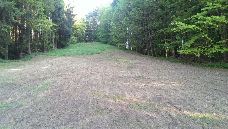 Piste mit Liftspur von unten.jpg