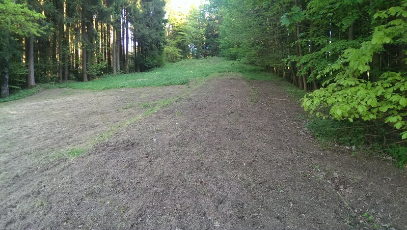 auf der Liftspur.jpg