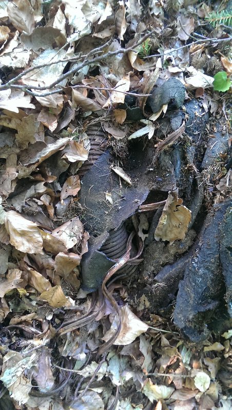 eventuell Reste der Talstation Bild 2.jpg