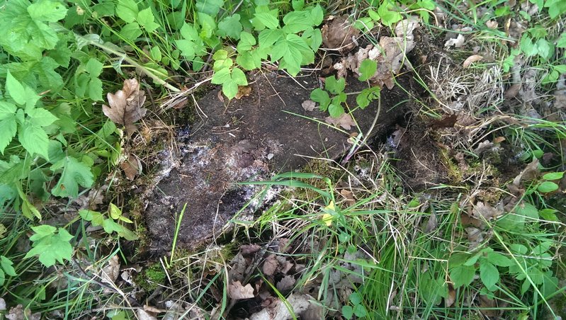 eventuell Fundament der Talstation.jpg