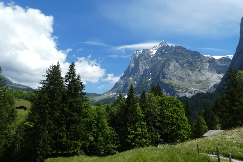 Grindelwald juni 011.JPG