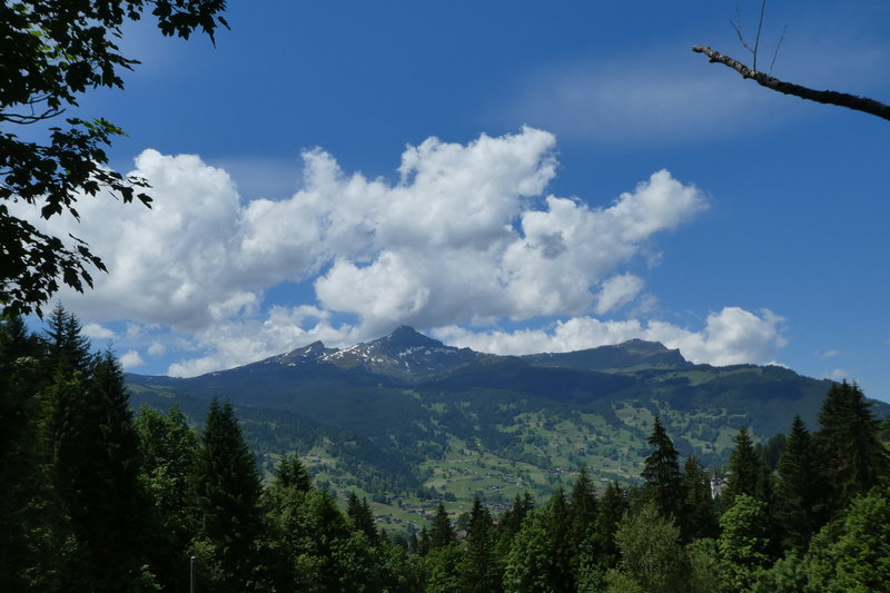 Grindelwald juni 021.JPG