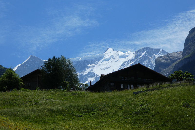 Grindelwald juni 037.JPG
