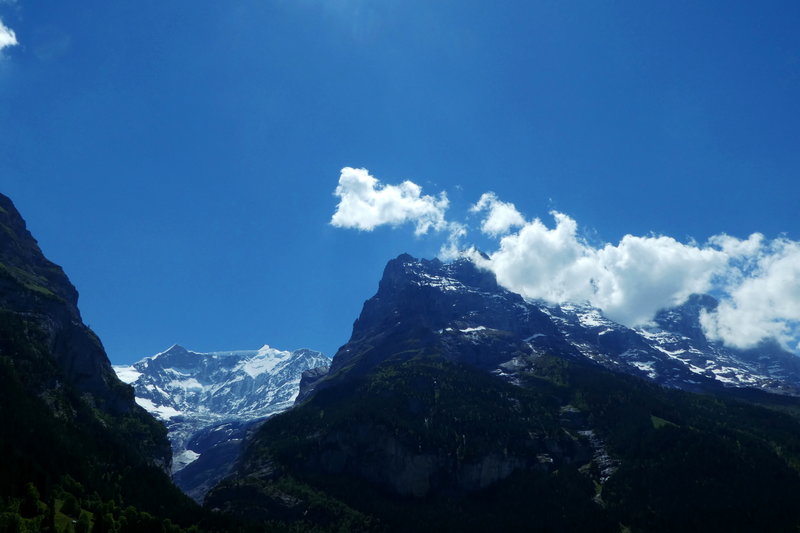Grindelwald juni 042.JPG