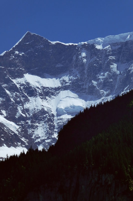 Grindelwald juni 046.JPG