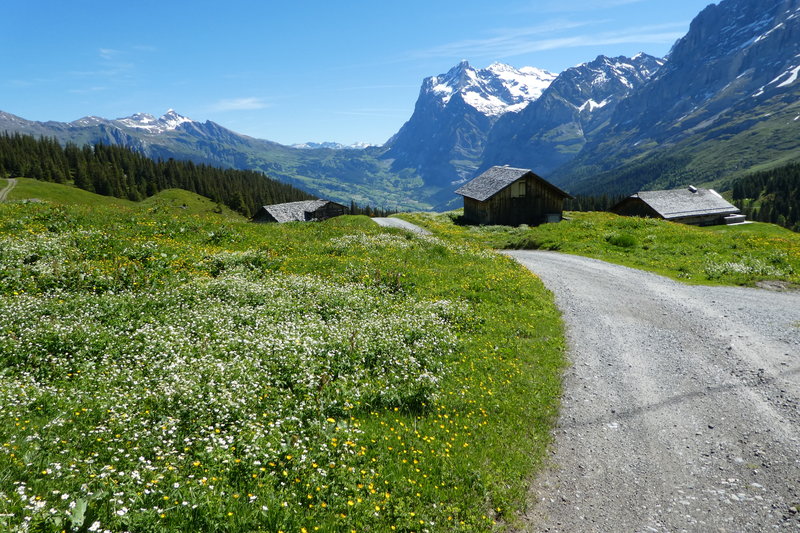 Grindelwald juni 097.JPG