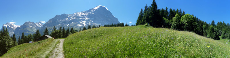 grindelwald mit Claudia Juni 2017 022_stitch.jpg