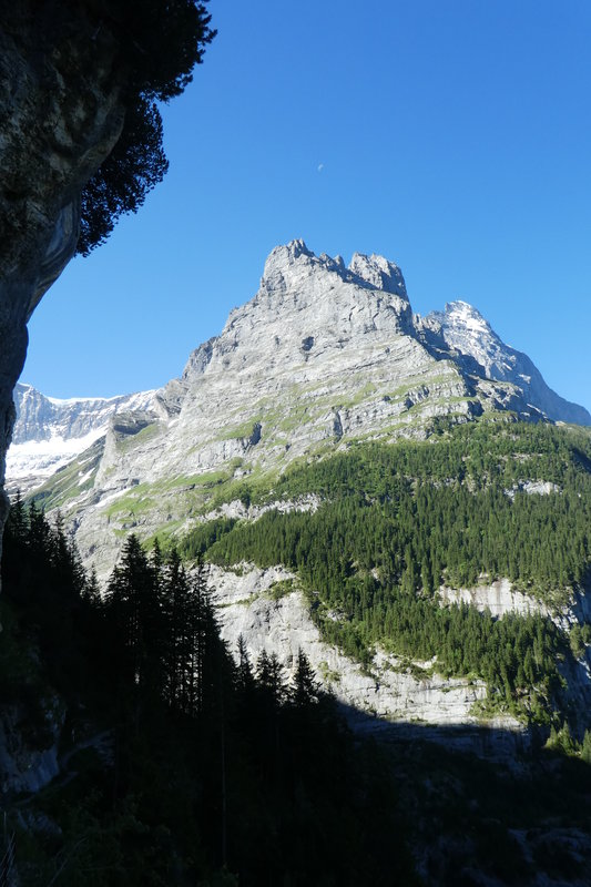 grindelwald mit Claudia Juni 2017 072.JPG