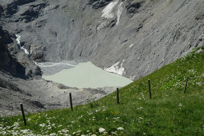 grindelwald mit Claudia Juni 2017 152.JPG