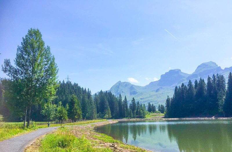 Seeblisee nach Sedimedentfernung