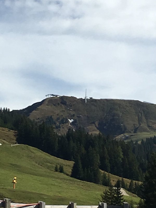 WhatsApp Image 2017-10-06 at 14.03.47.jpeg