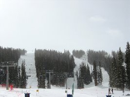 Der Excelerator schafft nur 260 Hm hat aber 6 verschiedene Abfahrten, davon 4 schwarze.