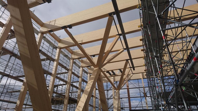 DSC_0091 (Groß).JPG