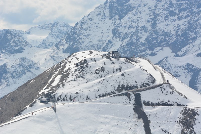 Palinkopf Nahaufnahme