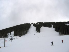 Rosi&amp;amp;acute;s Run wird jeden Tag gewalzt, die anderen schwarzen zur Super Bee nicht, die &amp;quot;Skid Road&amp;quot; bindet die mittelschweren Superabfahrten &amp;quot;Andy&amp;amp;acute;s encore&amp;quot; und &amp;quot;Collage&amp;quot; an