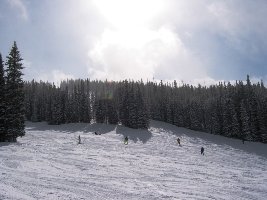 129-Coppertone in der Sonne I_klein.jpg