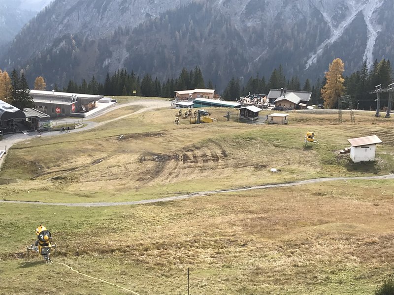 Auch noch einige auf Halde