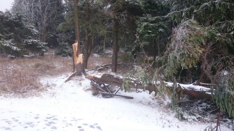 Sturmschaden Herwart