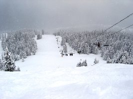 Schon der Starthang in diese Diamond-Abfahrt hat es in sich. Große Buckel und 7inches Neuschnee