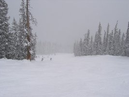 Auch die blauen Abfahrten sind nicht unsteil, leider Sicht hier mäßig