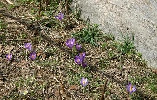 Ja, das war es mit der Skisaison 2004/05 am Pohorje (Talstation Ruska).