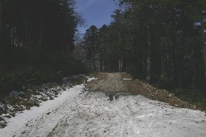 Die letzten 150 m musste man abschnallen.