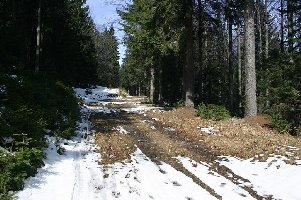 ... oder das goldene Starli - Abzeichen??