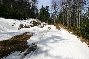 Frage an die Forum - Jury: verdiene ich für das befahren der Verbindung Cojzarica - Ruska das silberne ...