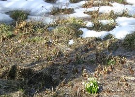 Detail von der Talstation ;-)