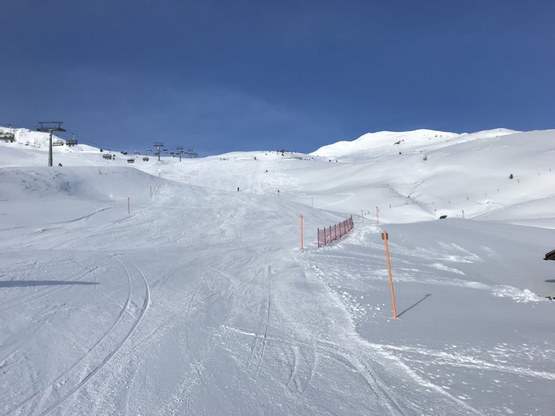 Interessant, dass dieses Jahr die direkte Variante zuerst offen ist.