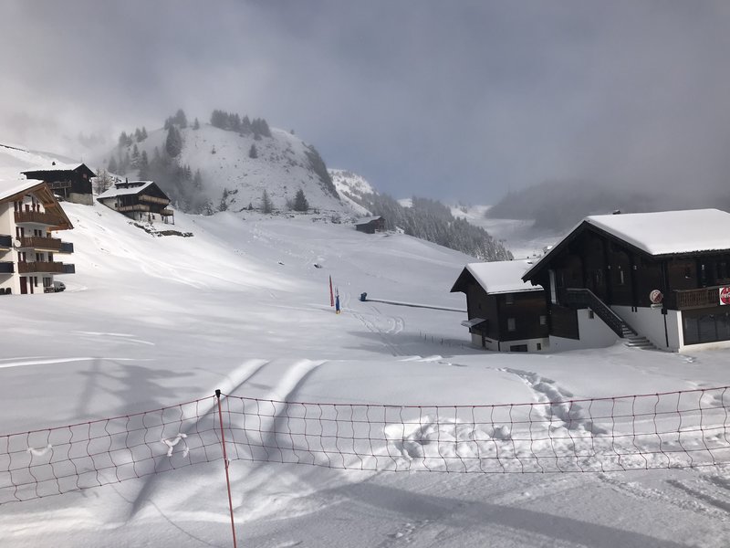 Der Zauberteppich steht nun in Richtung Moosfluh Bahn