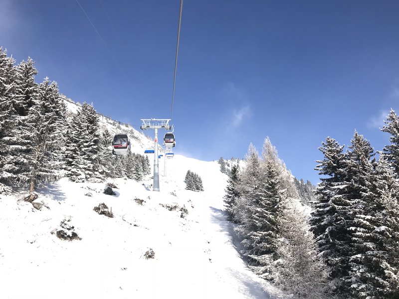 Es wurde auch fleissig Off-Piste gefahren. Doch kam hierbei sofort die Vegetation mangels Unterlage zum Vorschein.