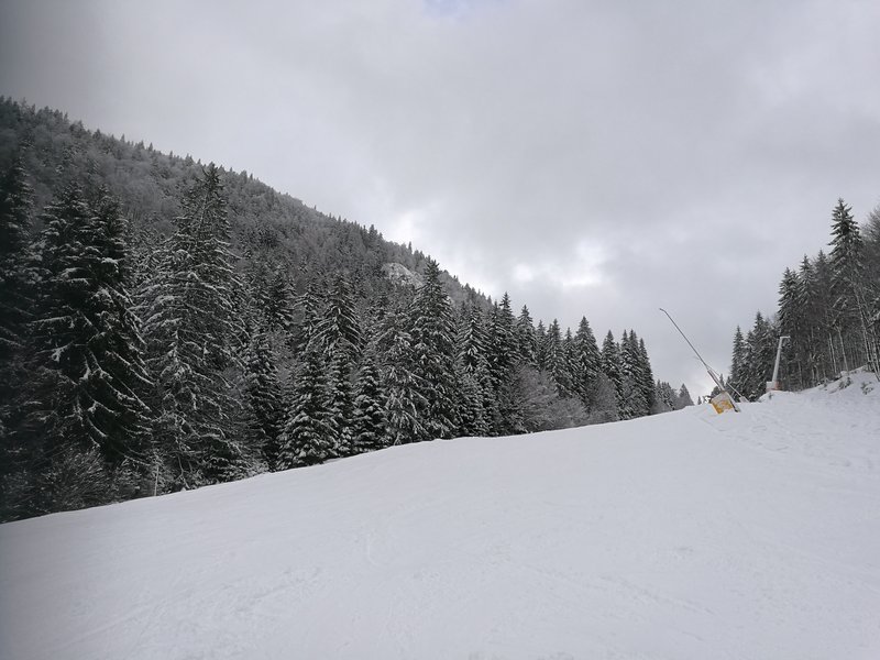 Rothausabfahrt oberhalb Silberwiesenlift