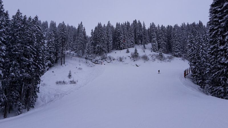 Auf der blauen Talabfahrt. Traumhaft zu fahren und fast immer ohne Menschenkontakt. Bis auf ein paar Tourengeher die die tollen Bedingungen ebenfalls ausnutzen wollen bevor hier ab Samstag der Bär steppt.