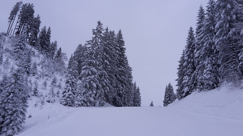 Blaue Talabfahrt Bichlbach.