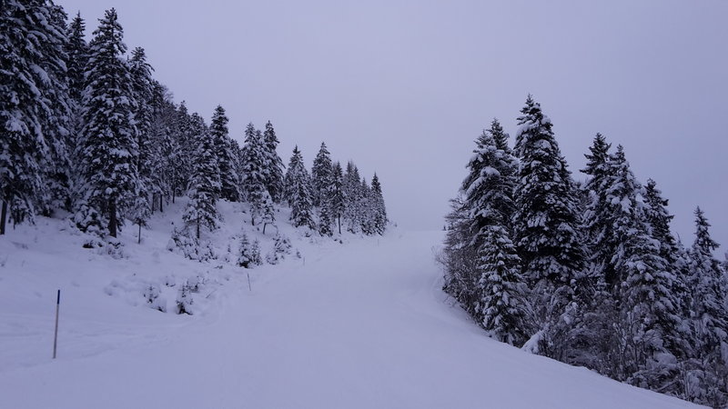 Blaue Talabfahrt Bichlbach.