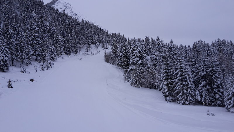 Blaue Talabfahrt Bichlbach.