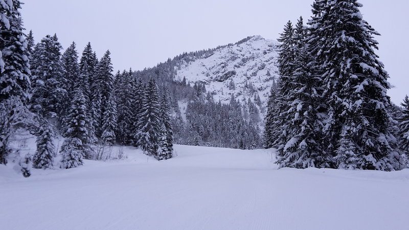 Auch bei der 5. Fahrt - es ist immer noch leer.