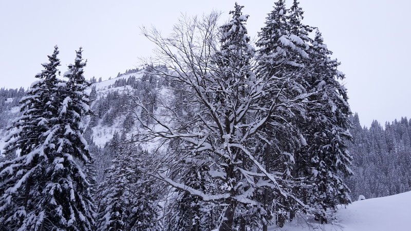Endlich mal wieder Winter vor Weihnachten