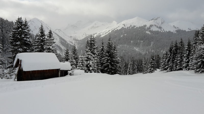 Dito. Den Spuren nach zu urteilen war ich vielleicht der 3. oder 4. Skifahrer auf der Piste. Um 13:oo Uhr!!