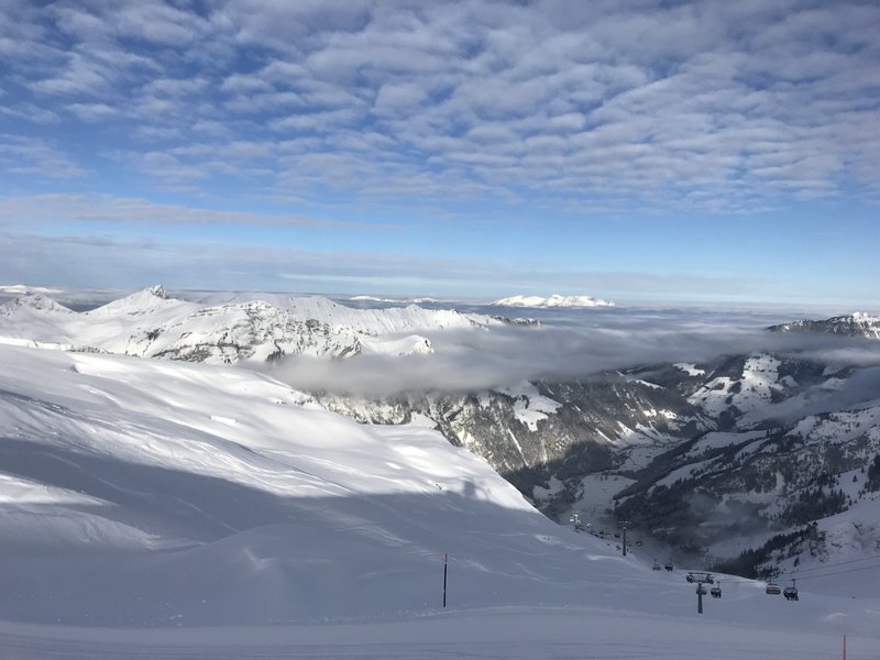 Das Nebelmeer kam und ging.