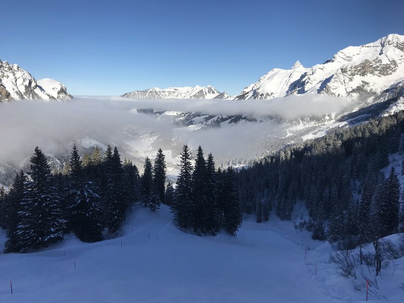 Zeitweise zog sich der Nebel ganz zurück.