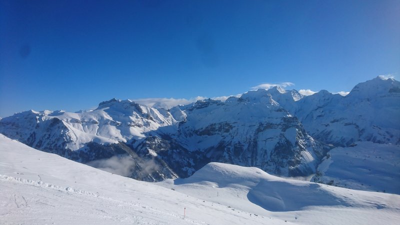 Blick auf einige 3000-er der Berner Alpen